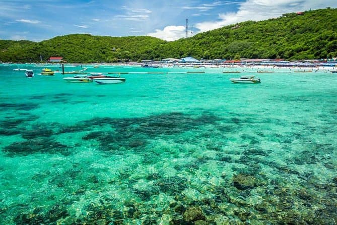 Coral Island