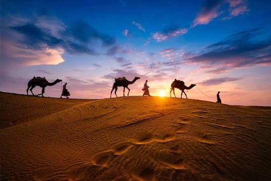 Golden Triangle Tour Package Gallery gallery 1